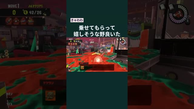 【きゃわわ】乗せてもらって嬉しそうな野良いた #スプラトゥーン #スプラトゥーン3 #splatoon3 #サーモンラン